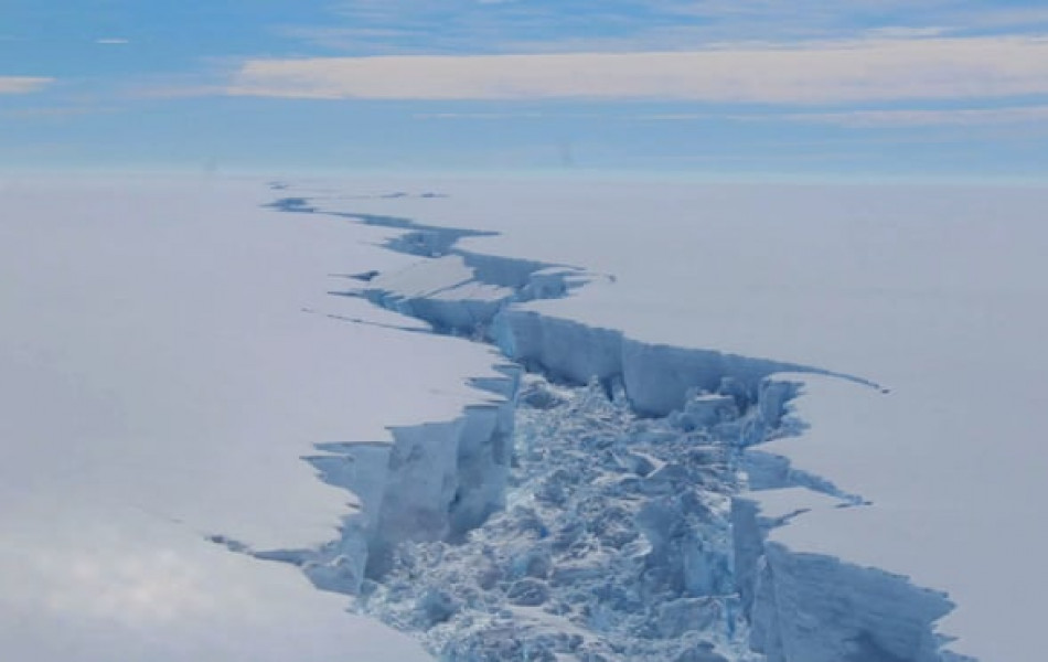 Коронавирус добрался до берегов Антарктиды