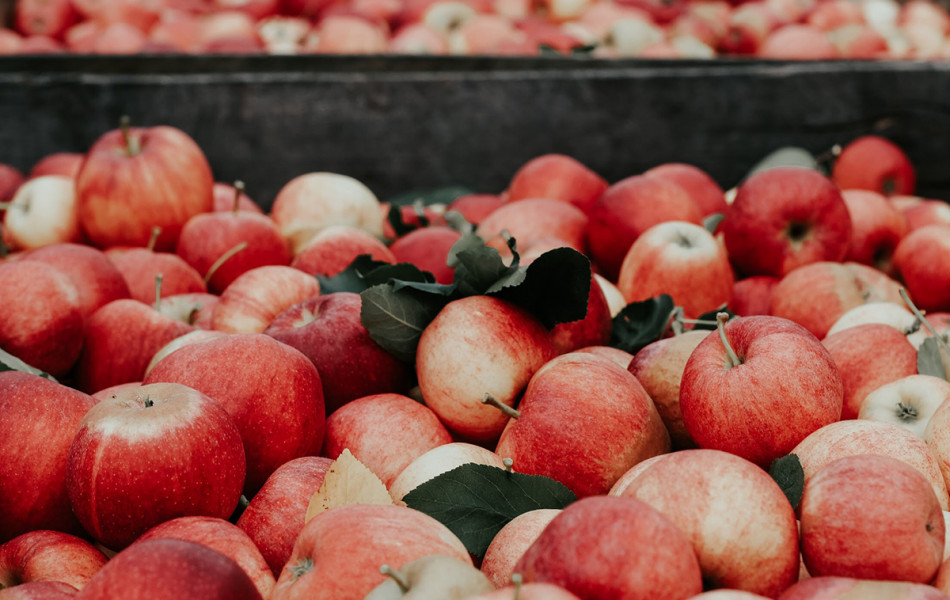Яблочный экспорт: куда увозят фрукты из Казахстана?