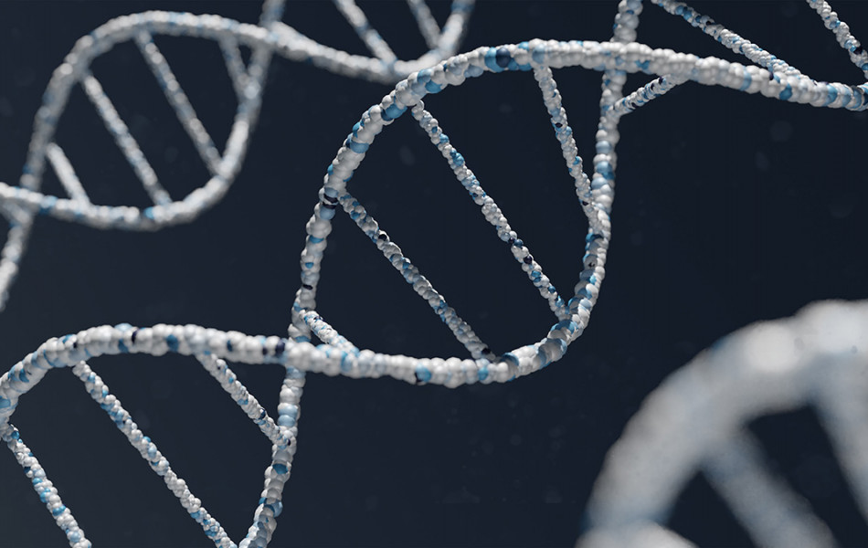 Биологи создали тест, способный определить до 50 редких генетических заболеваний
