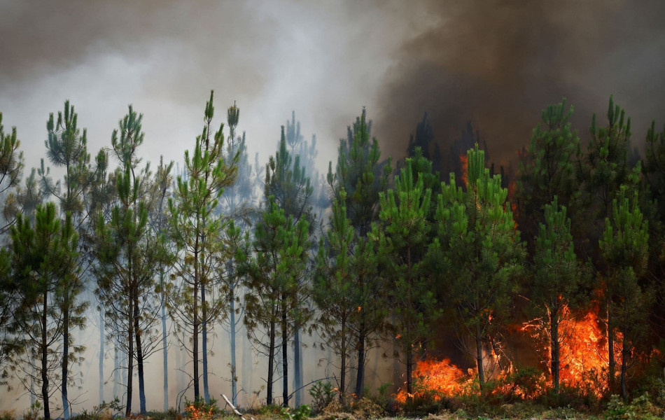 На юго-западе Франции горят тысячи гектаров леса 