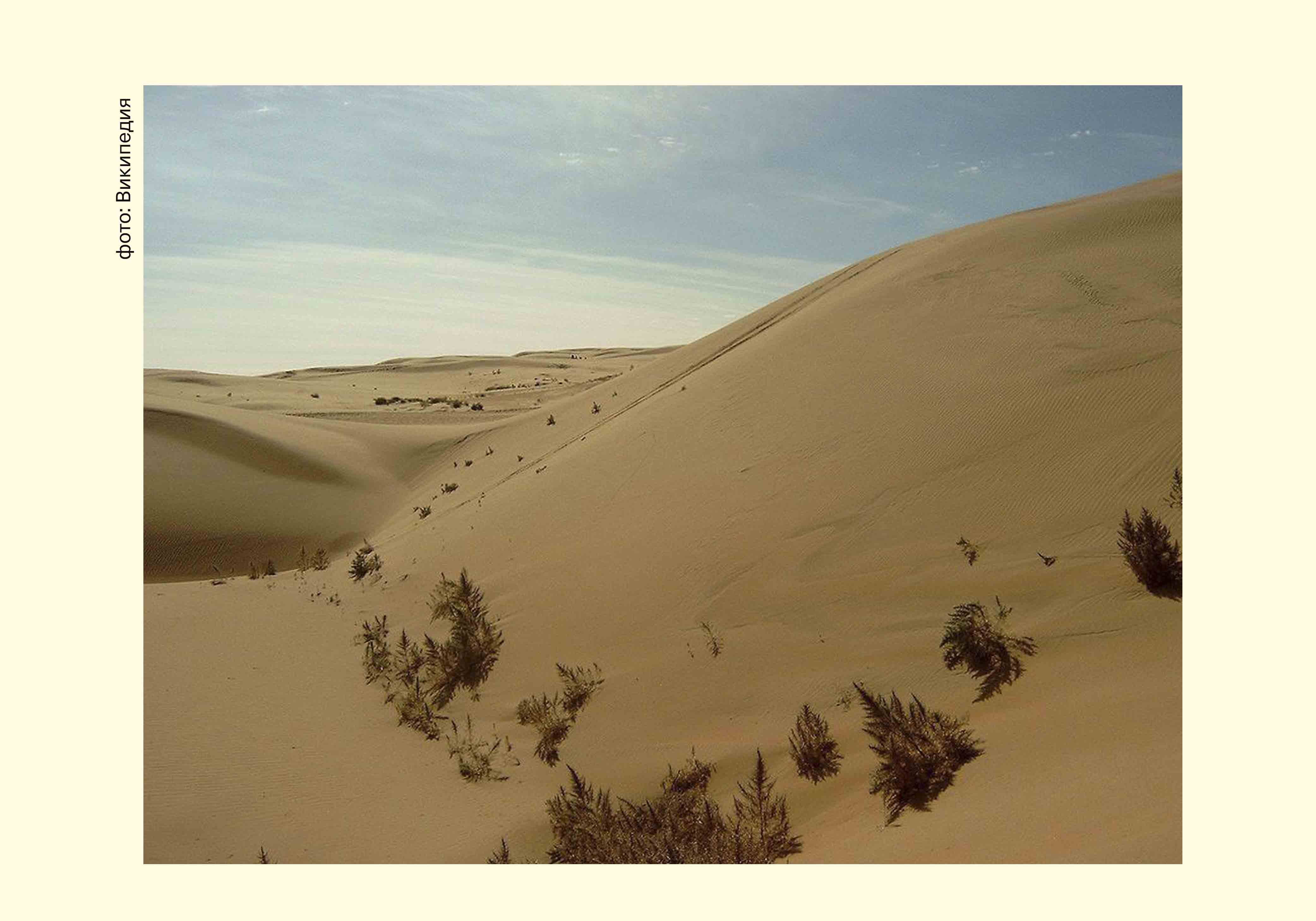 Настало время раскопок! На территории этой пустыни были обнаружены останки велоцирапторов, тарбозавров и протоцераптопсов.