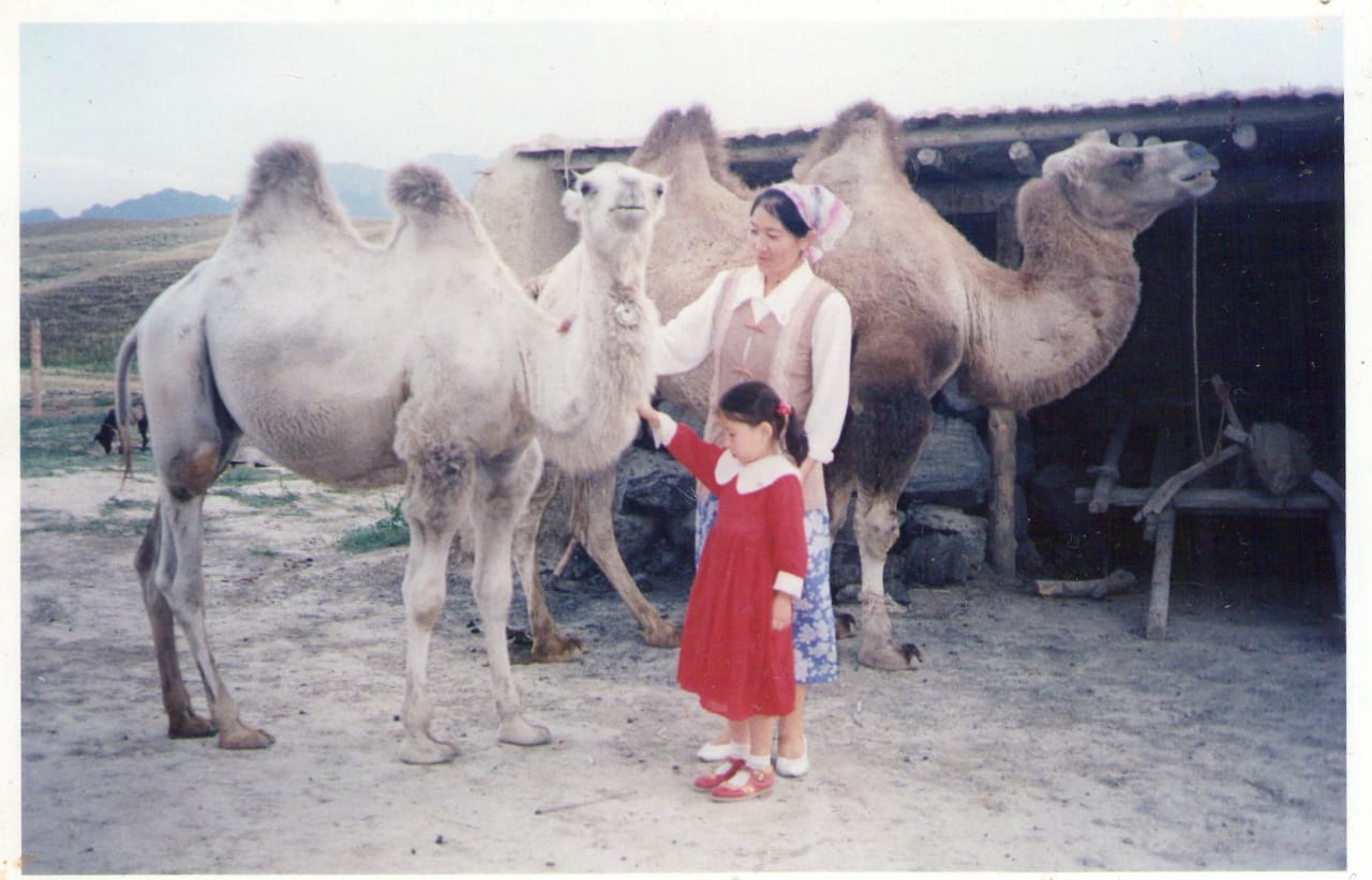 девочка с верблюдами