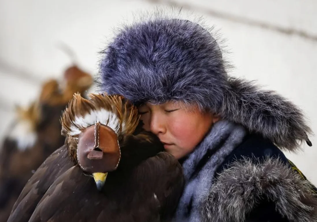 Лучшие фотографии животных 2018