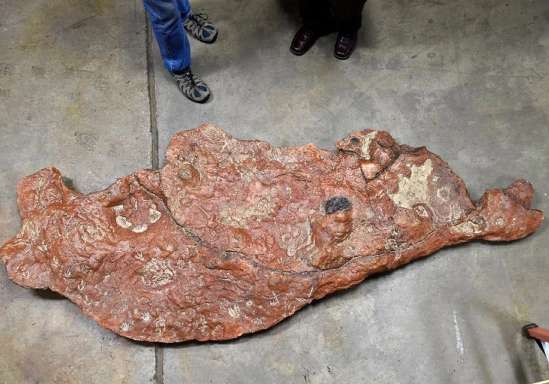 На стоянке центра NASA в Мэриленде нашли каменную плиту со следами динозавров