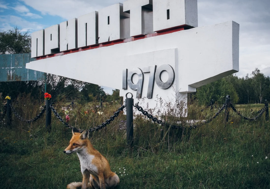 Как сериал «Чернобыль» привлек еще больше туристов в зону отчуждения?