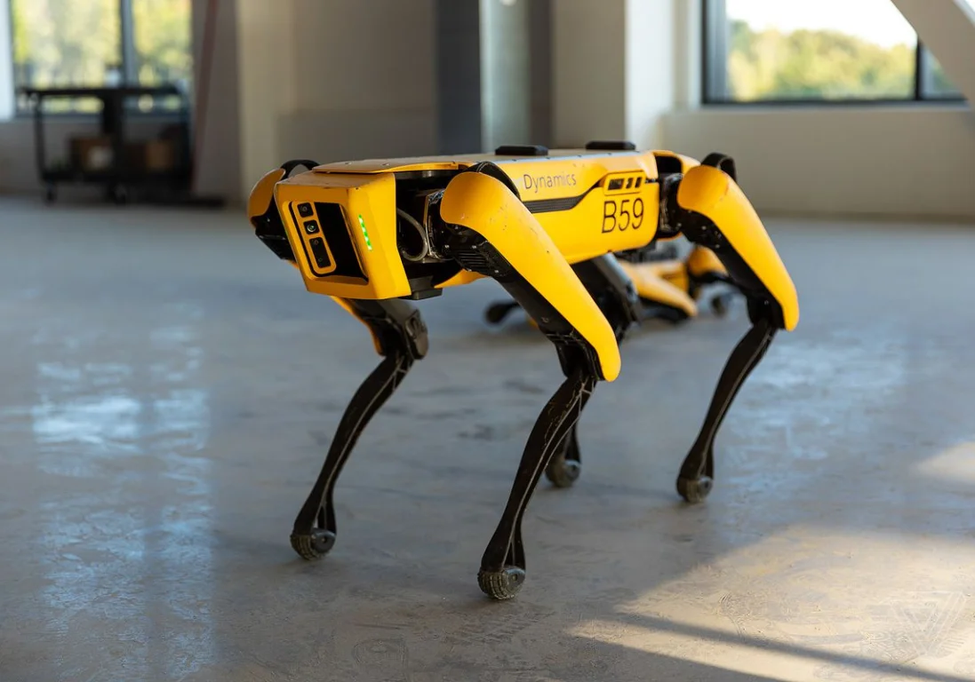 Робособака Spot Boston Dynamics пасёт овец в Новой Зеландии