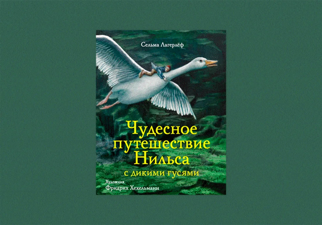 Что почитать: гид по скандинавской литературе - The Steppe