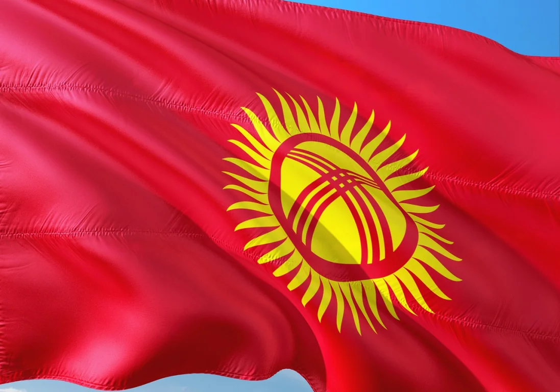 За 2020 год в Кыргызстане заведено 210 дел по факту «кражи девушек»