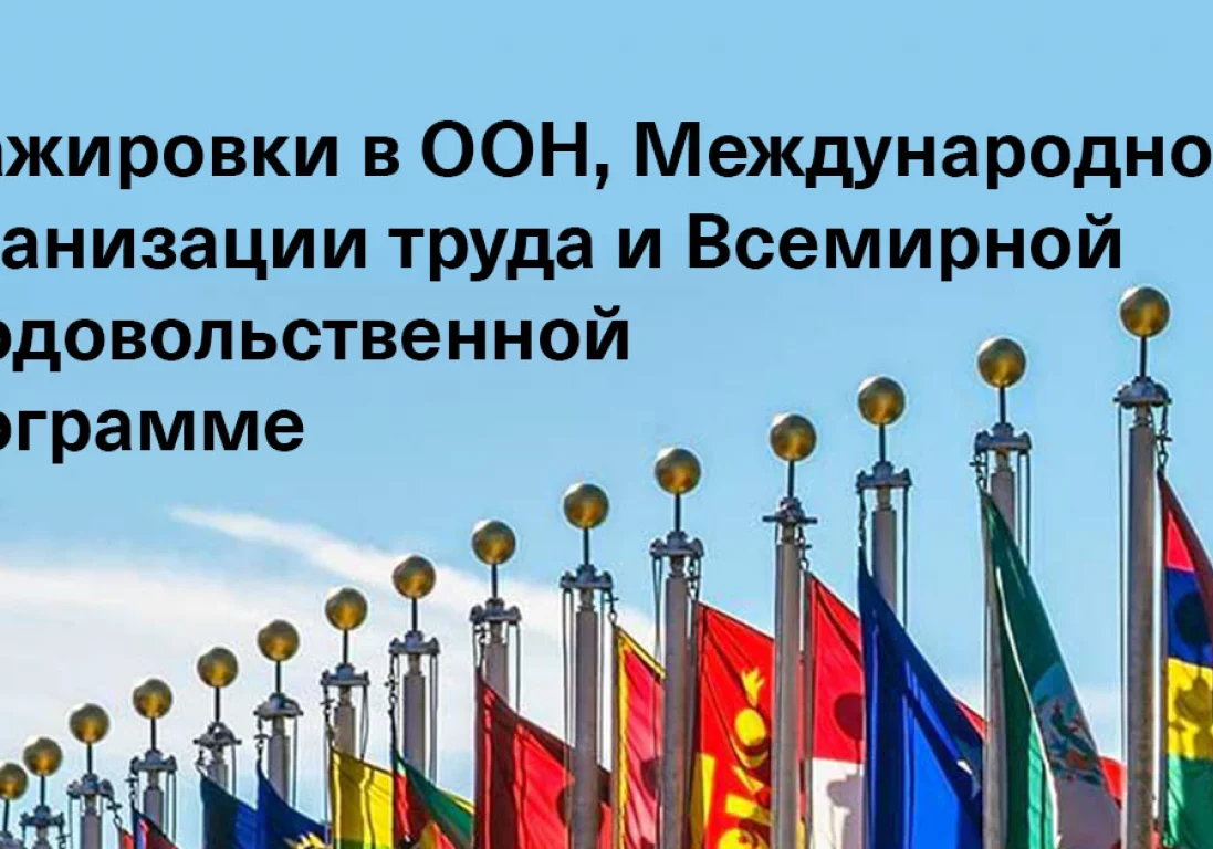 Подборка грантов, стипендий и стажировок от международных организаций