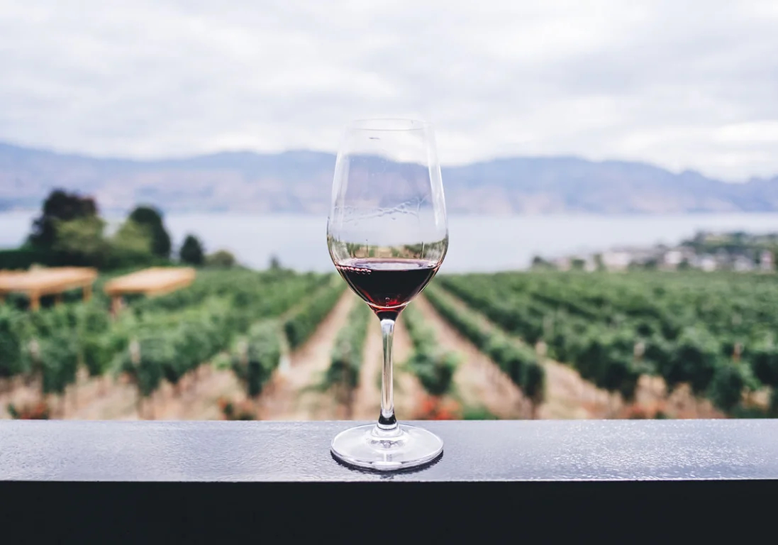 Исследование: ежедневное употребление вина может вредить здоровью