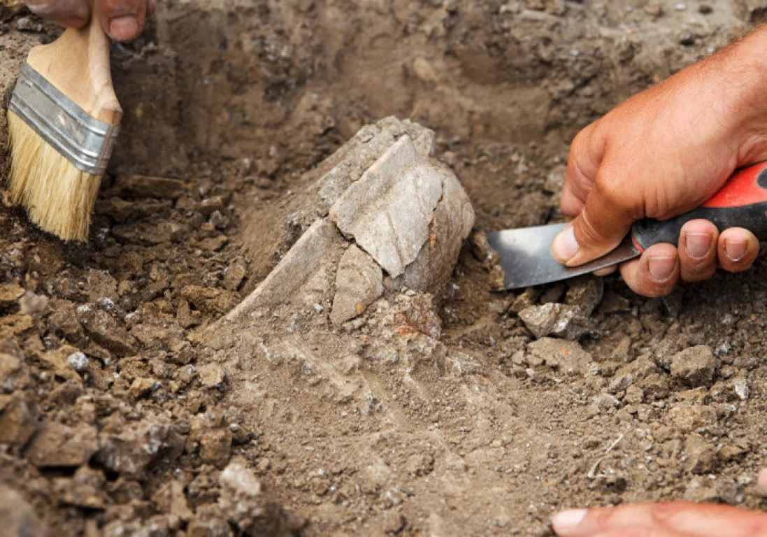 Археологи из Павлодара обнаружили новые курганы