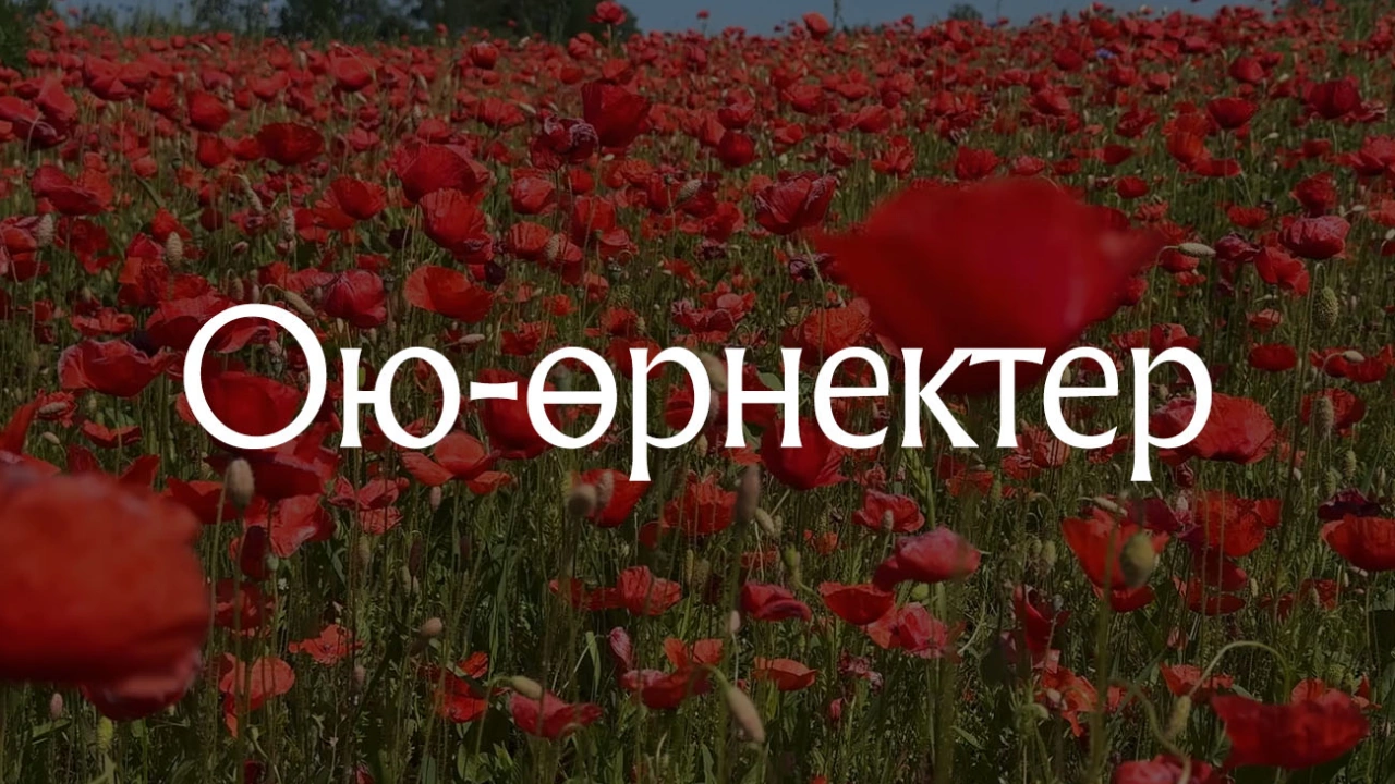 Ою-өрнектер