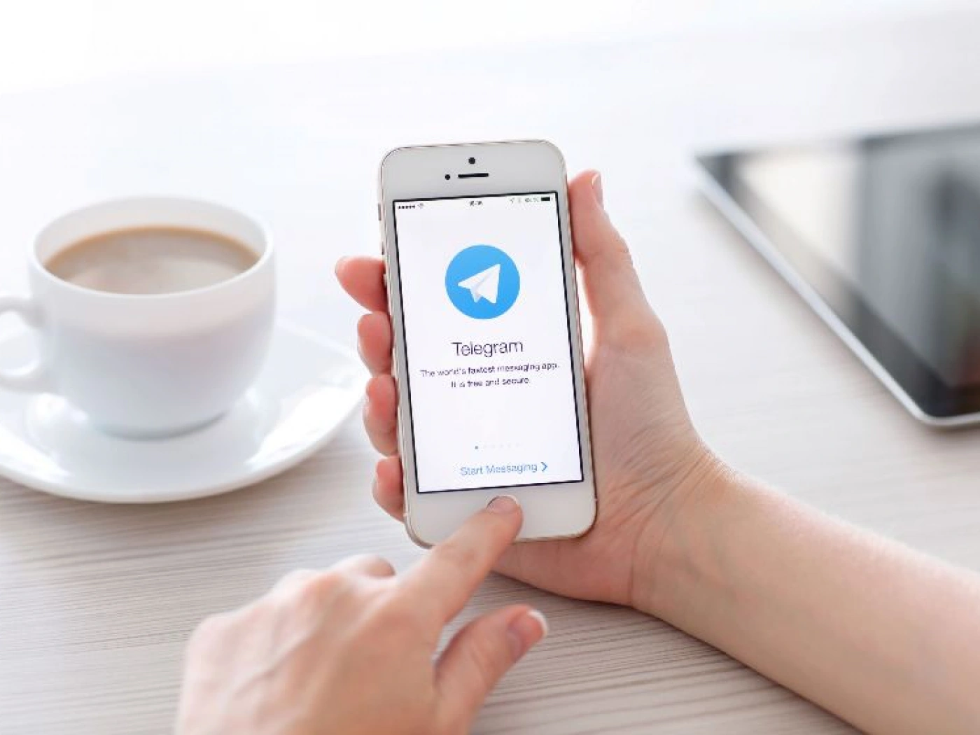 Пожаловаться на коррупцию и нечестную игру в научной сфере можно будет Telegram-боту