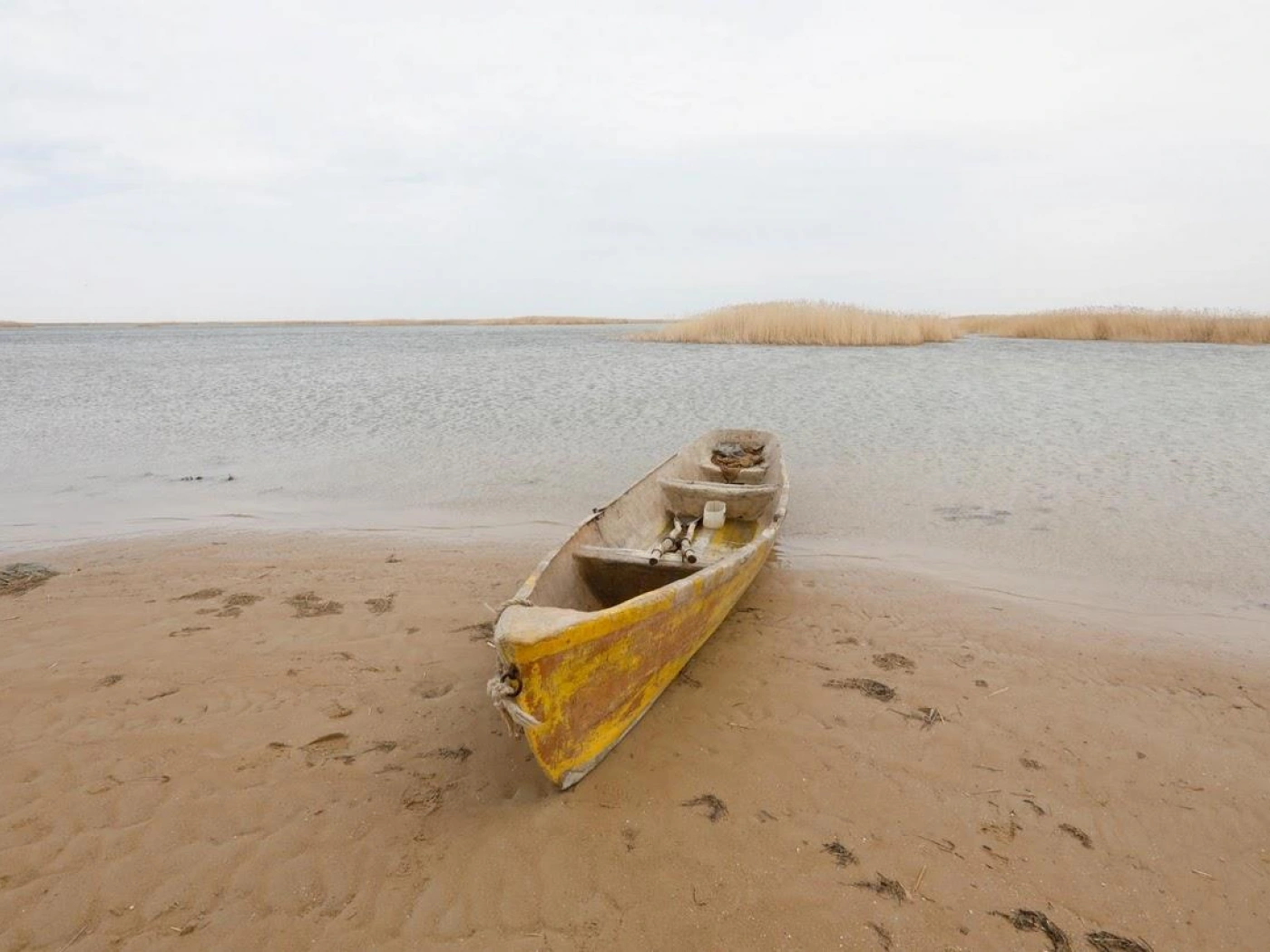 Как спасают северную часть Аральского моря