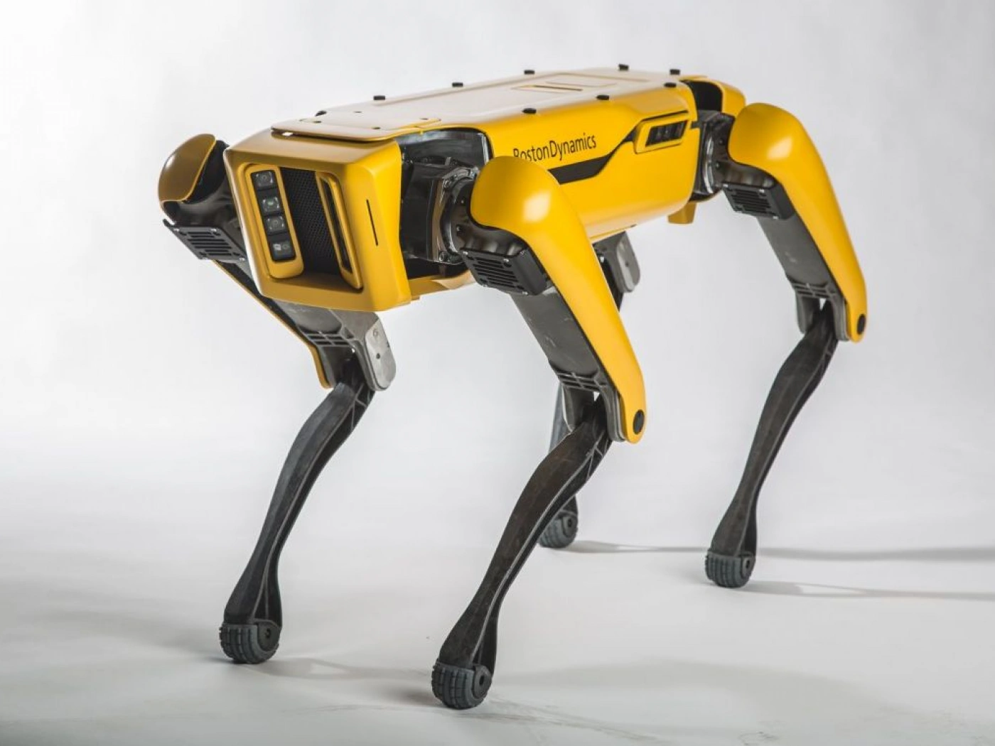 Boston Dynamics анонсировали новых роботов-собак