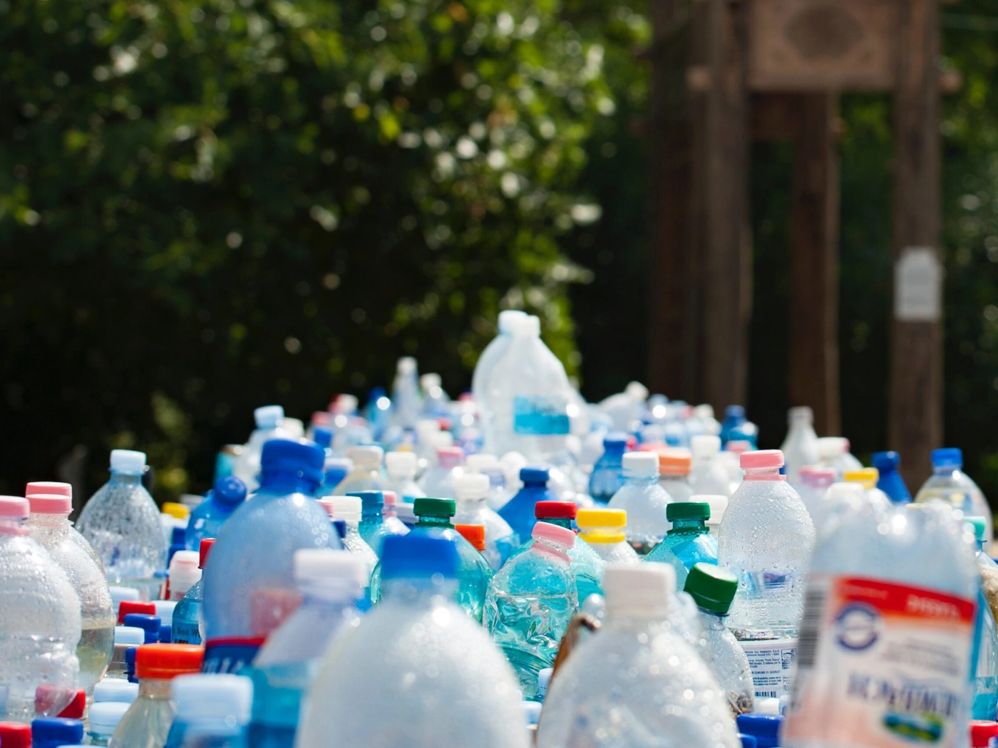 Plastic free: 7 шагов к тому, чтобы начать жить без пластика
