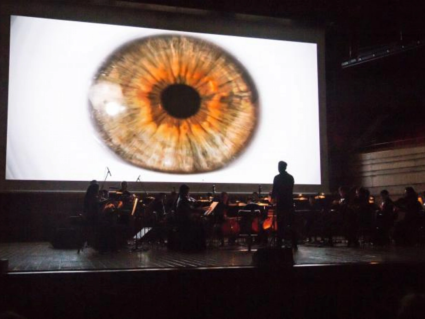 Открыт набор на программу креативного продюсерства Creative Producers для Казахстана и Узбекистана