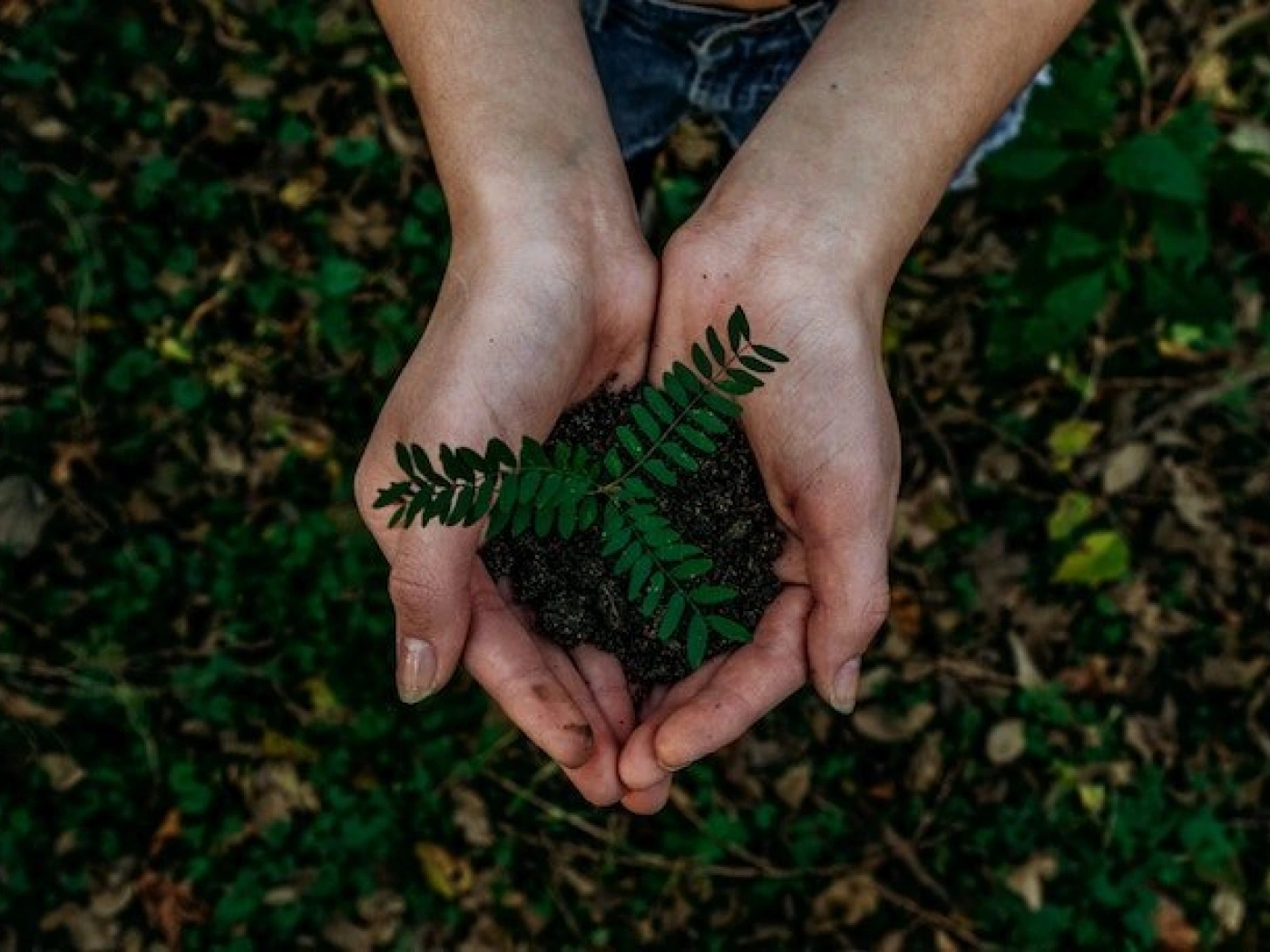 Жанбота Медеуева: 10 лайфхаков о том, как быть eco-friendly