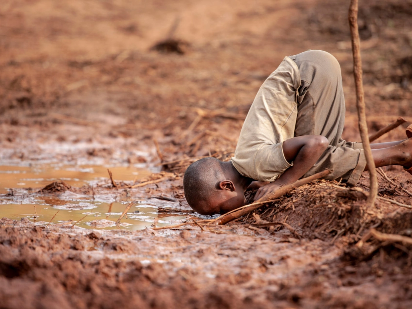 Конкурс эко-фотографии Environmental Photographer-2019 объявил победителей