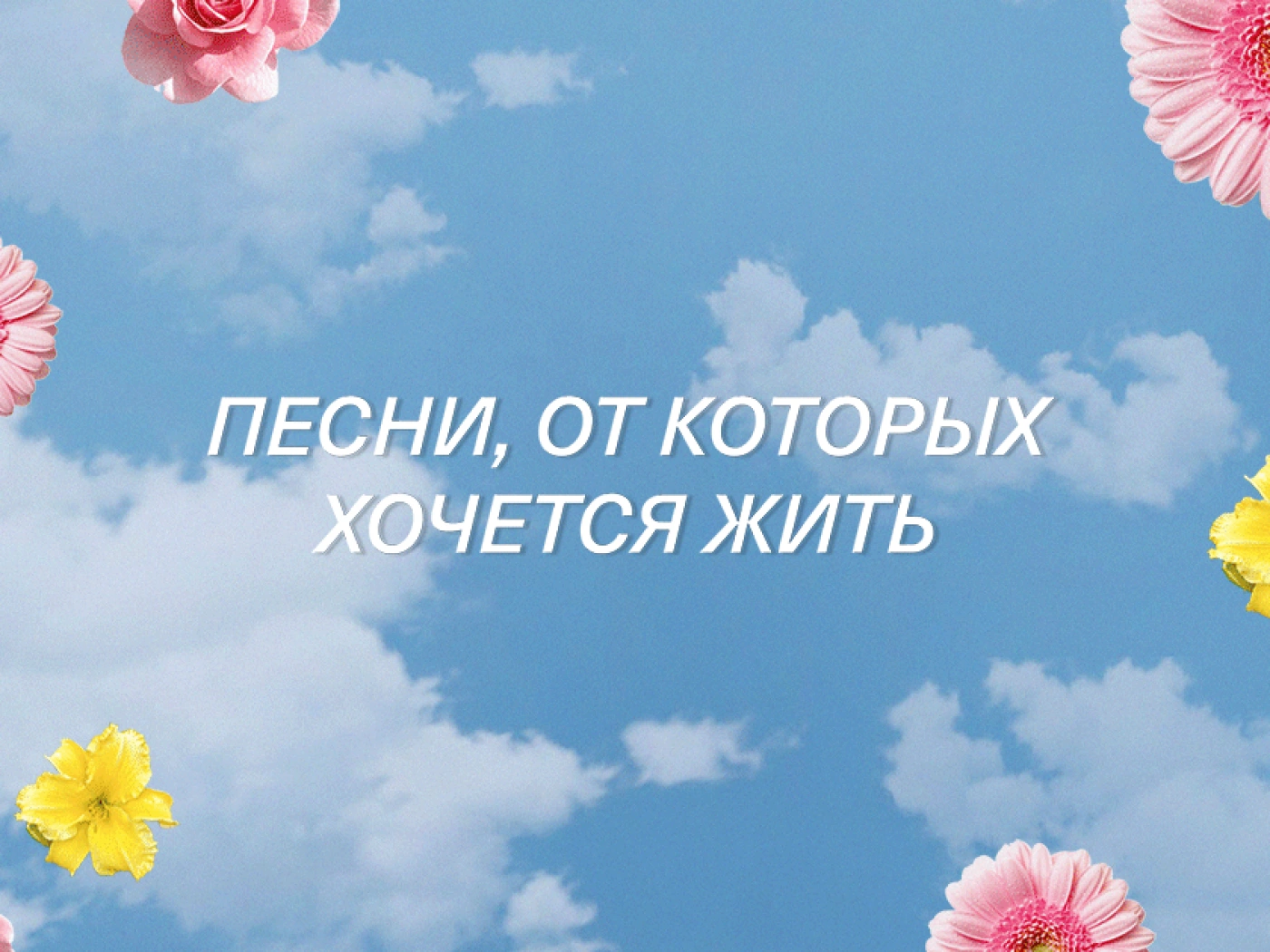 #SteppeMusic: Плейлист песен, от которых хочется жить