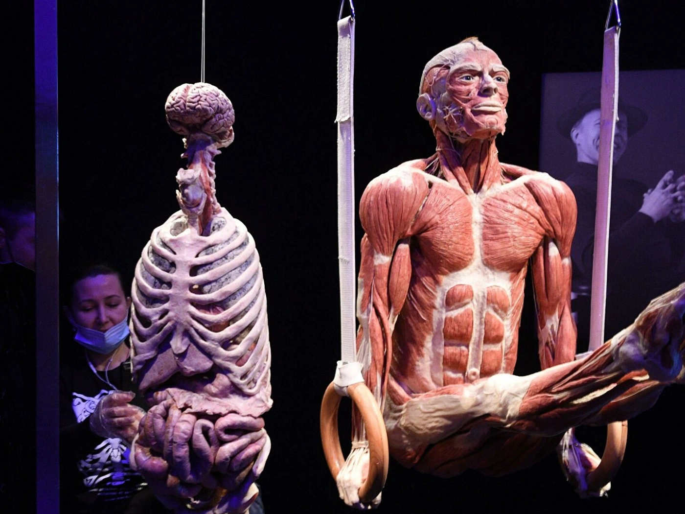 «Здесь трупам не место»: почему в Москве хотят запретить выставку Body Worlds?