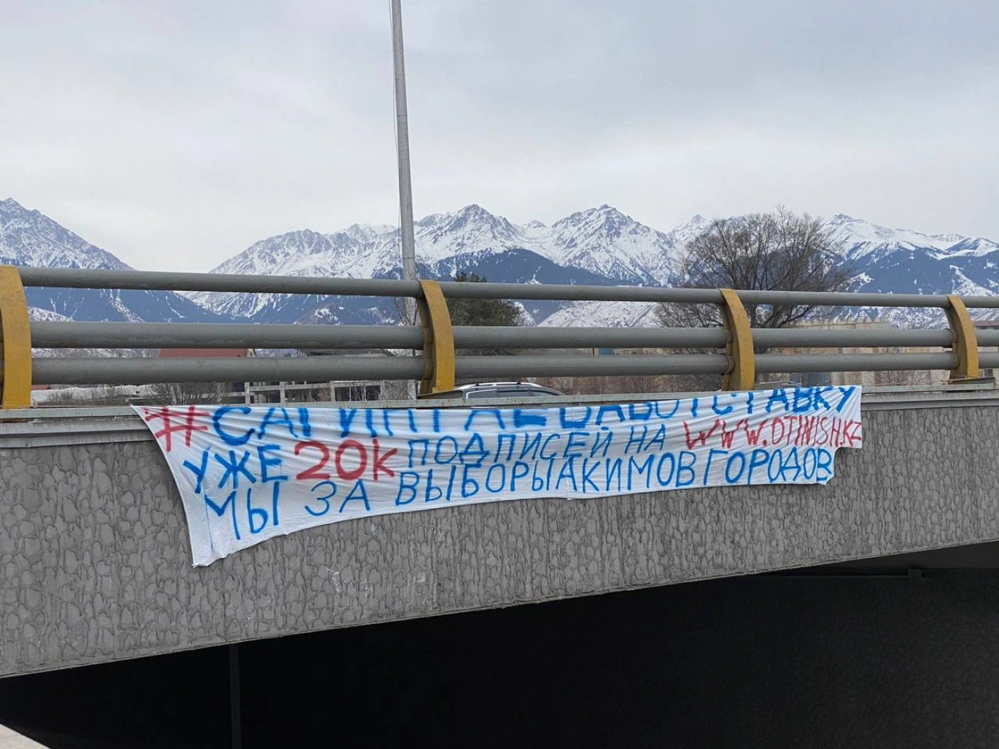 Какие петиции запустили в Казахстане с начала января?