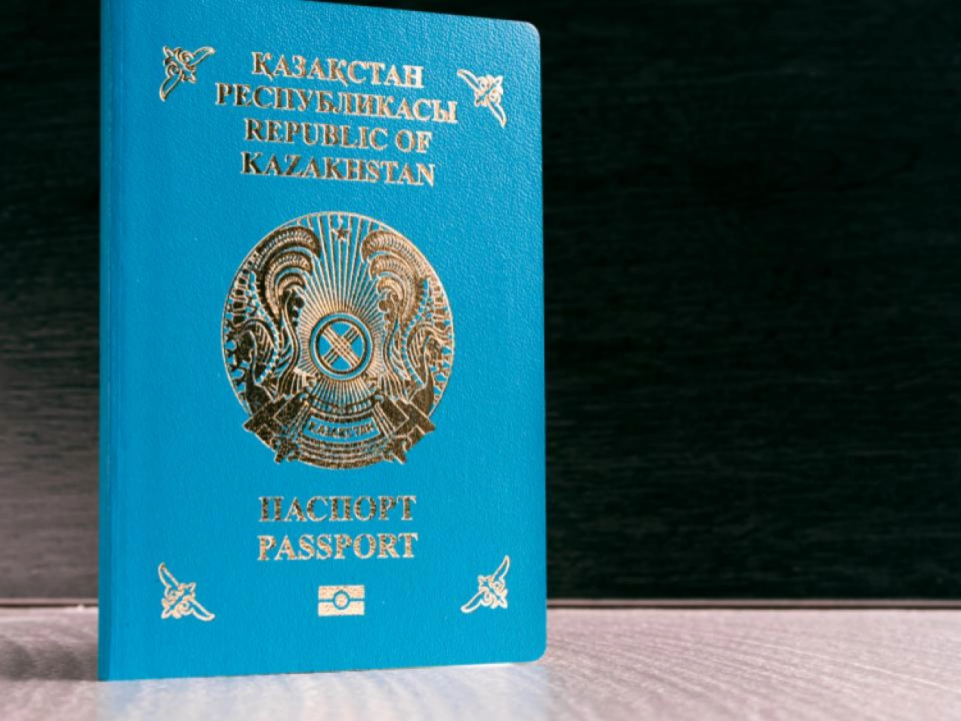 Этническим казахам, реализовавшим бизнес-кейсы за рубежом, будут предоставлять льготную визу
