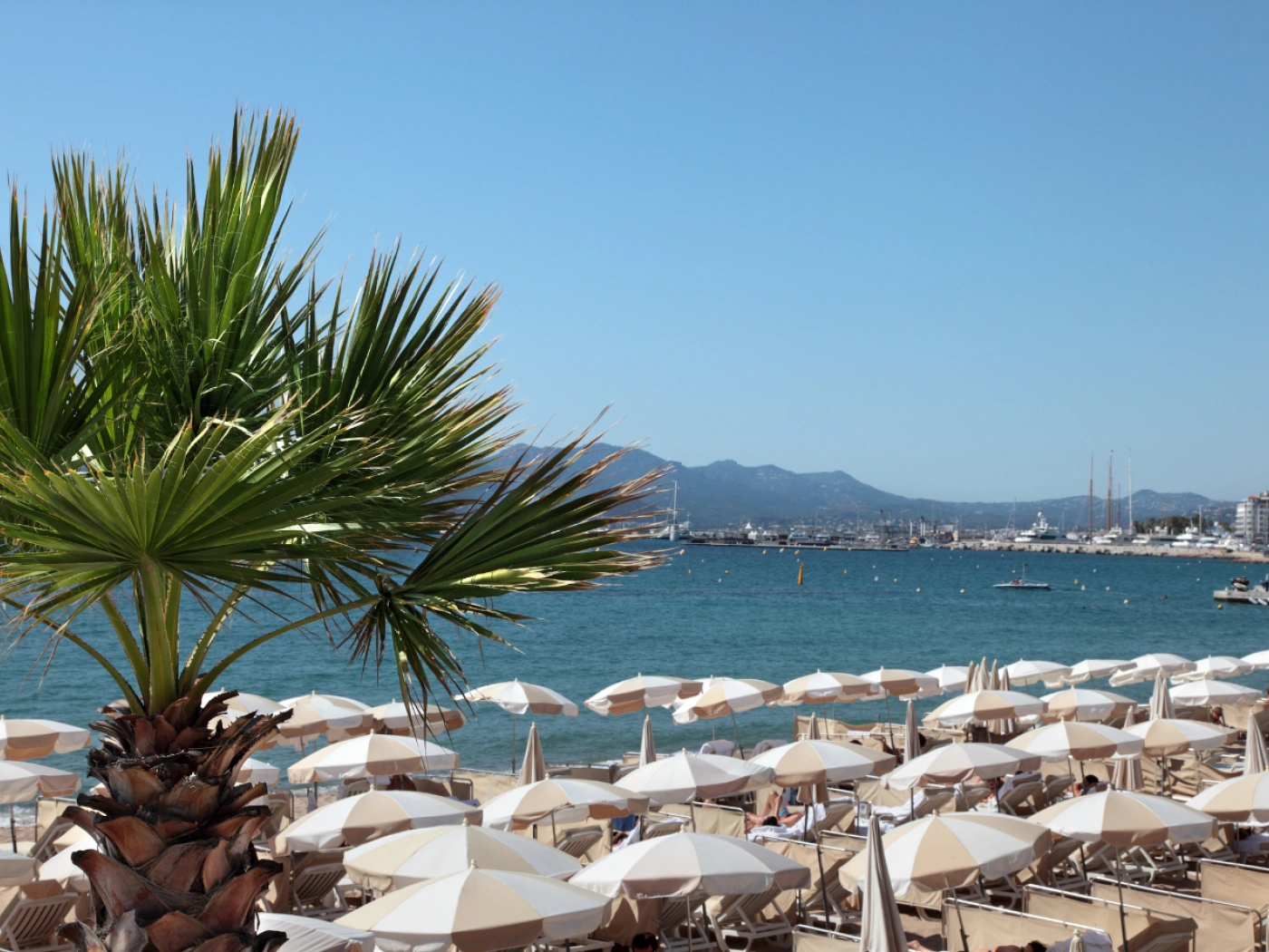 Как туристы выбирают отели в Бодруме: что нужно знать гостиничному бизнесу