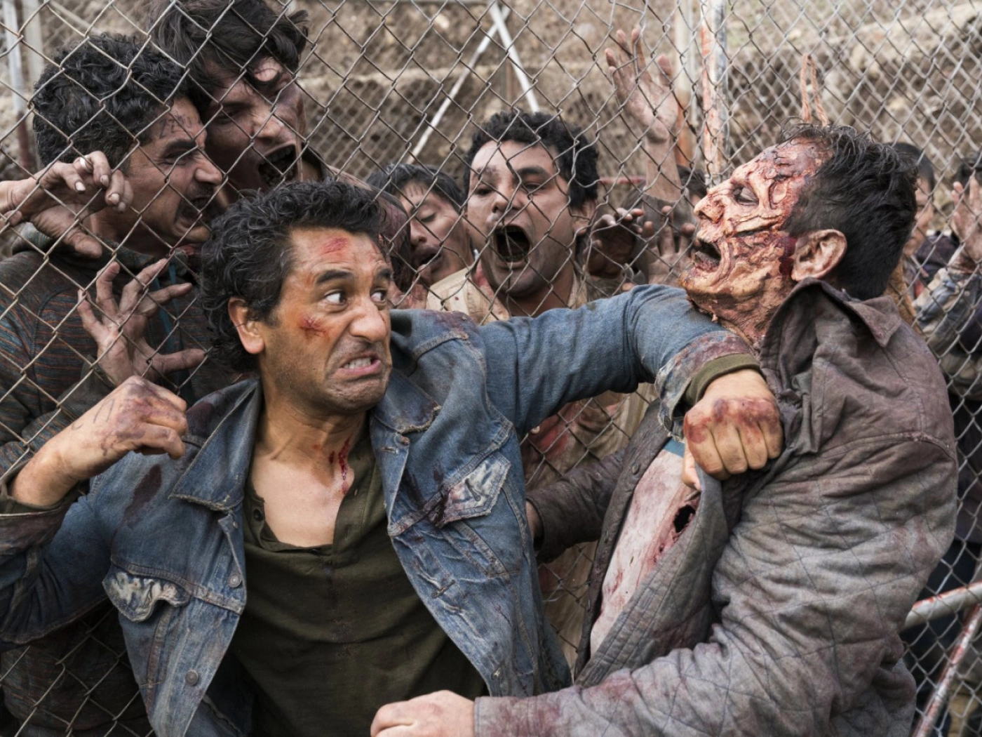 STEPPE x Amediateka: что посмотреть в феврале