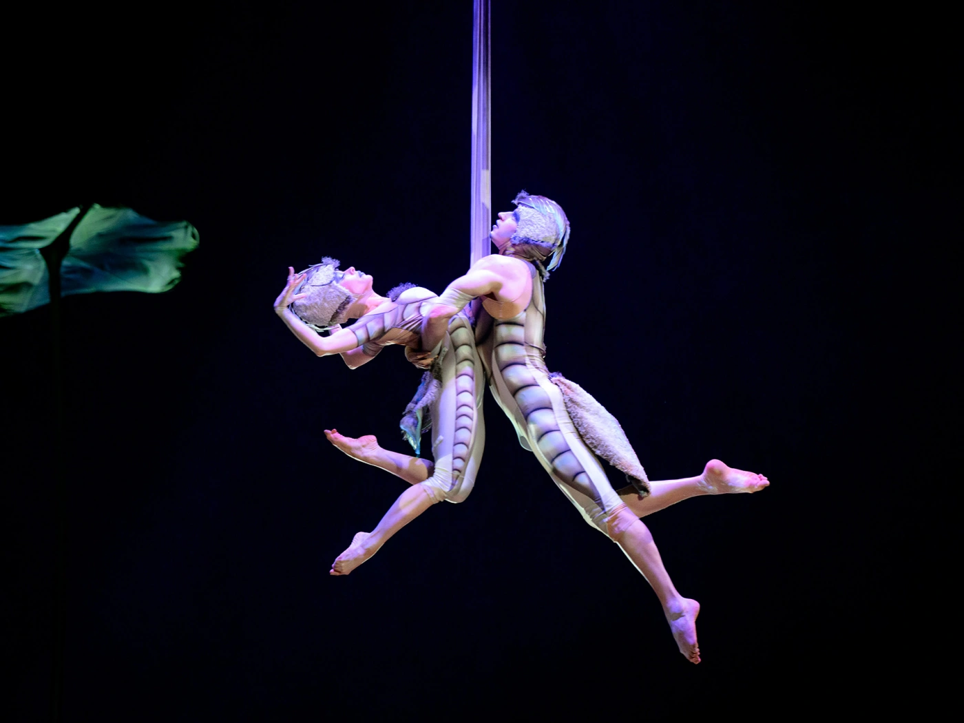 Как устроен Cirque du Soleil изнутри: репетиции, костюмы и жизнь за кулисами OVO