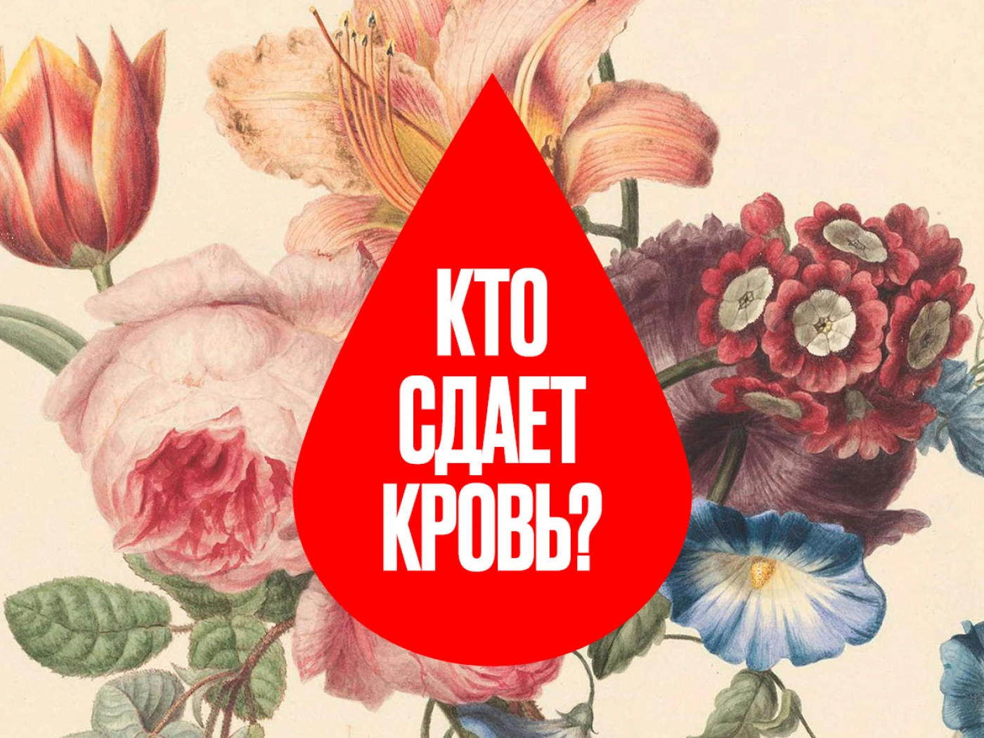 Кто является донорами-рекордсменами и сколько донаций проводят в Казахстане