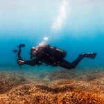 Кислород океанов под угрозой: почему ученые спасают коралловые рифы