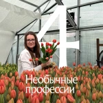 Необычные профессии: истории женщин, которые нашли свое дело — от сельского хозяйства до спорта