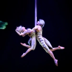 Как устроен Cirque du Soleil изнутри: репетиции, костюмы и жизнь за кулисами OVO
