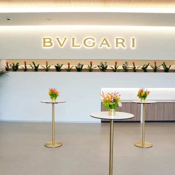 Bvlgari запускает крупнейшую в мире образовательную платформу для будущих ювелиров