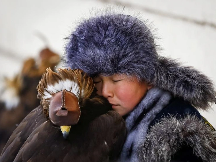 Лучшие фотографии животных 2018