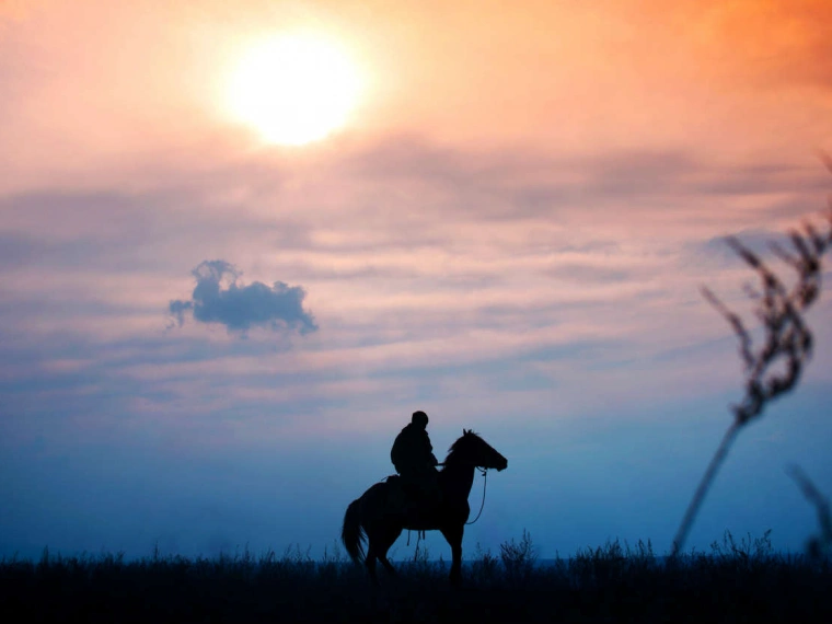 Казахстанского создателя криптопирамиды задержали в Алтайском крае