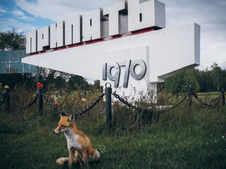 Как сериал «Чернобыль» привлек еще больше туристов в зону отчуждения?