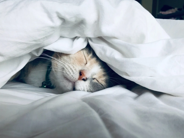 Мифы о сне, которые вредят здоровью