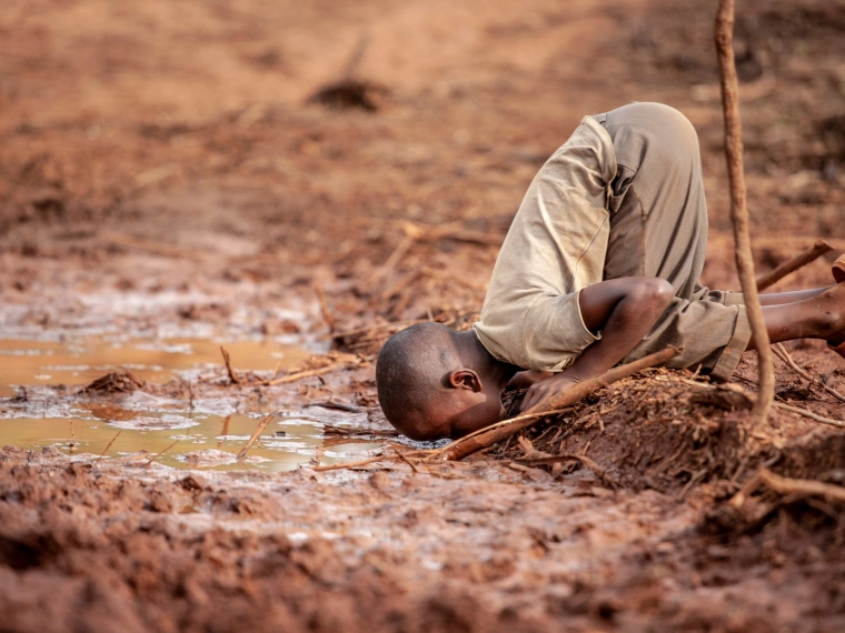 Конкурс эко-фотографии Environmental Photographer-2019 объявил победителей