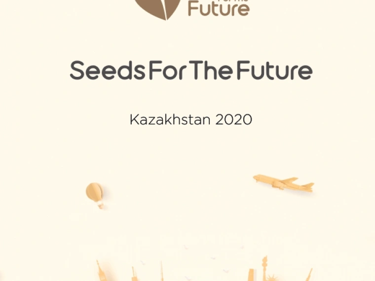 Seeds for the Future: как компания Huawei поддерживает таланты