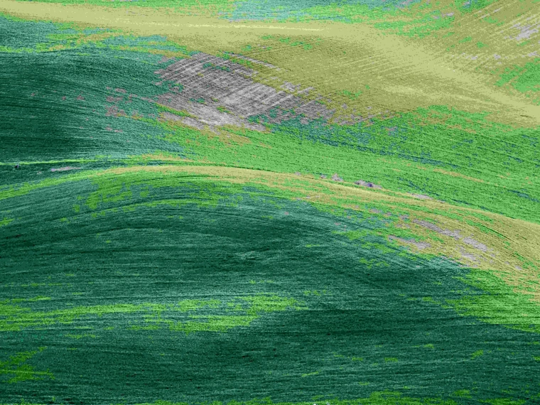 Кто и зачем разрушает древние курганы в Алматы?