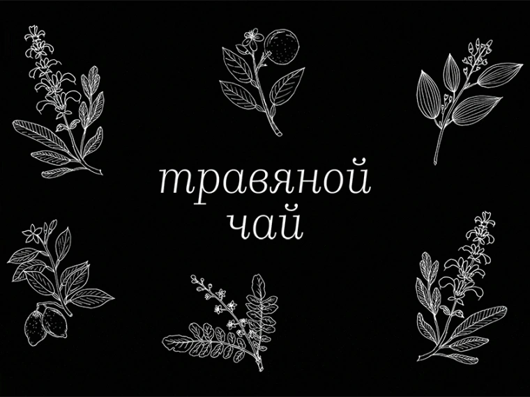 Как правильно собирать и заваривать травяной чай