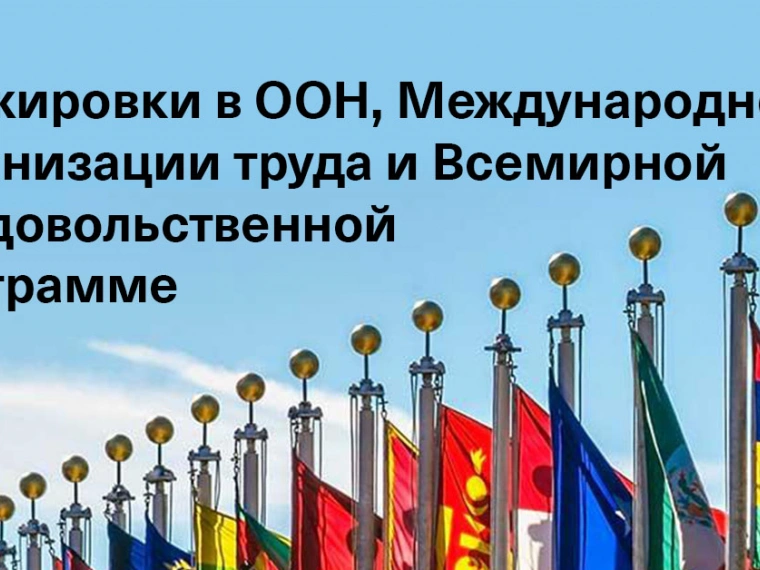 Подборка грантов, стипендий и стажировок от международных организаций
