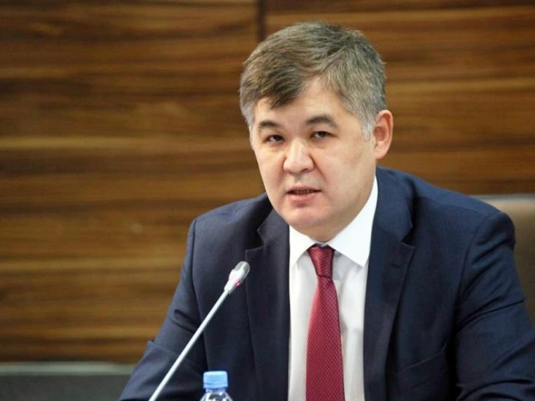 Суд приговорил Елжана Биртанова к пяти годам ограничения свободы