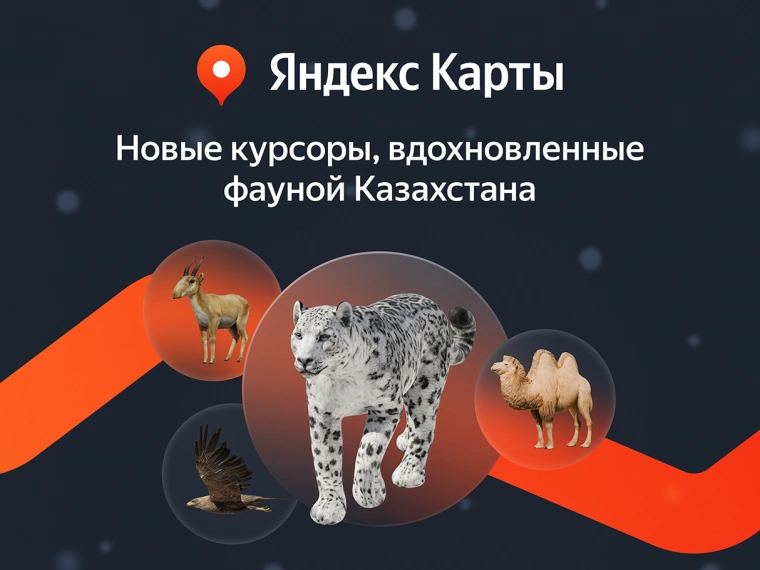 Пробежать по маршруту или долететь до места: теперь с Яндекс Картами можно все