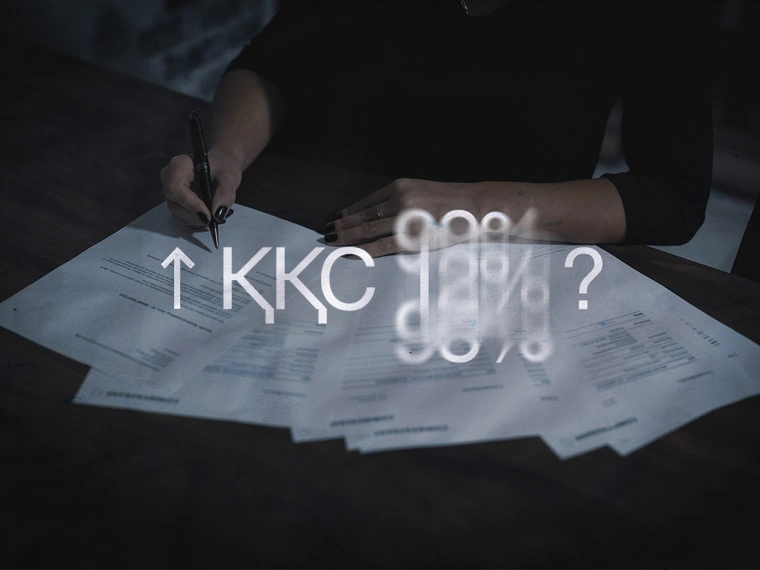 ҚҚС-тың 12%-дан 20%-ға өсуі: бизнес пен қоғамға әсері қандай?