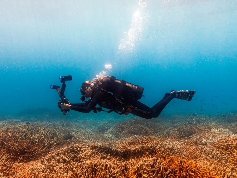 Кислород океанов под угрозой: почему ученые спасают коралловые рифы