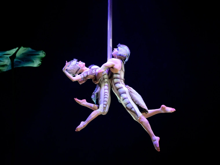 Как устроен Cirque du Soleil изнутри: репетиции, костюмы и жизнь за кулисами OVO