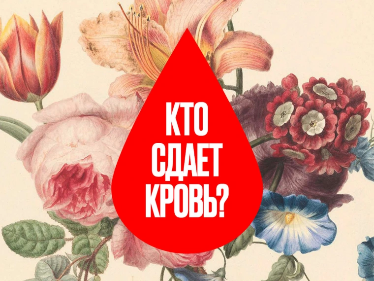 Кто является донорами-рекордсменами и сколько донаций проводят в Казахстане